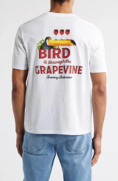 Tommy Bahama Bird It Through The Grapevine Graphic T-shirt