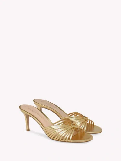 Gianvito Rossi 70mm Vyna Mules