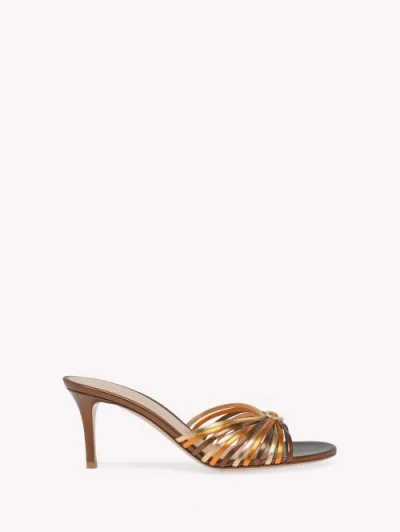 Gianvito Rossi 70mm Vyna Mules