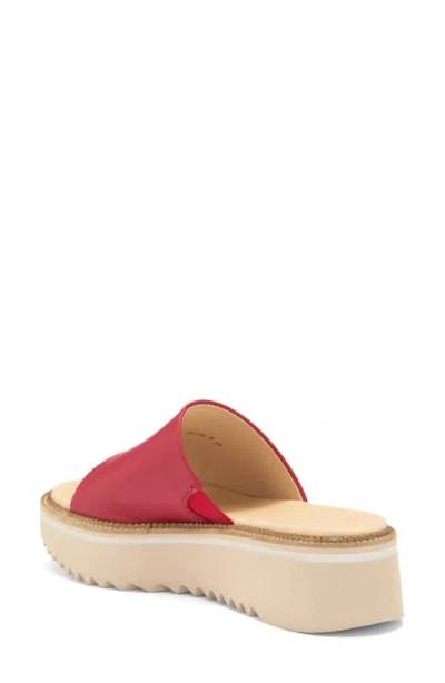 Paul Green May Slide Sandal