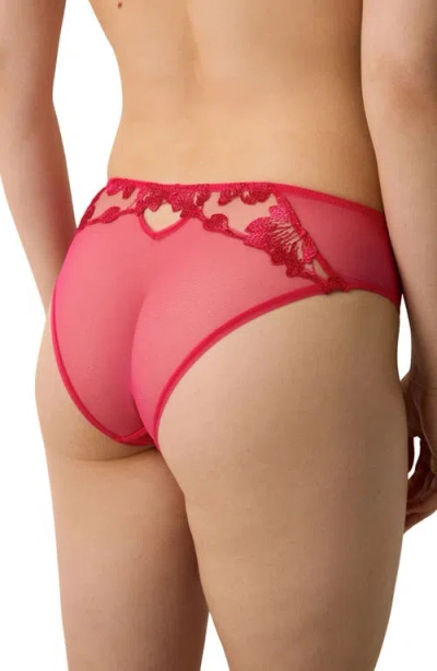 Etam Fragrance Lace & Mesh Hipster Panties