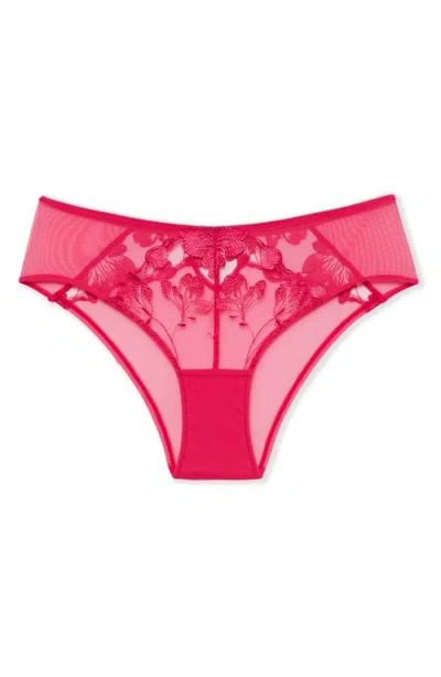 Etam Fragrance Lace & Mesh Hipster Panties