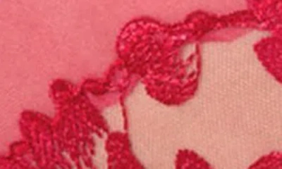 Etam Fragrance Lace & Mesh Hipster Panties