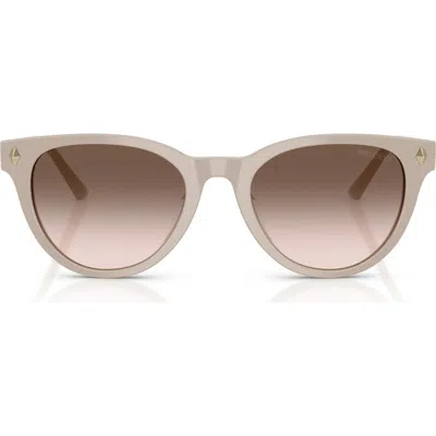 Jimmy Choo Trace 53mm Phantos Sunglasses In Multi