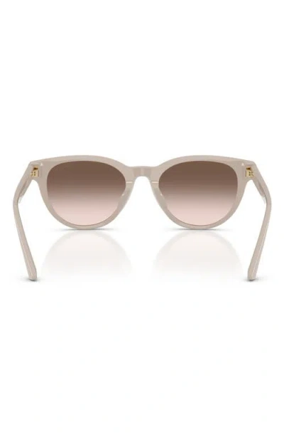 Jimmy Choo Trace 53mm Phantos Sunglasses In Multi