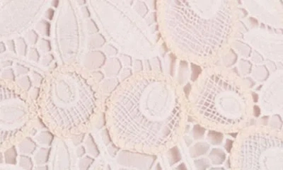 Endless Rose Lace Sleeveless Maxi Dress