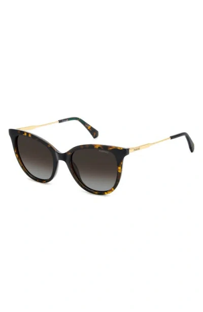 Polaroid 52mm Polarized Cat Eye Sunglasses In Multi