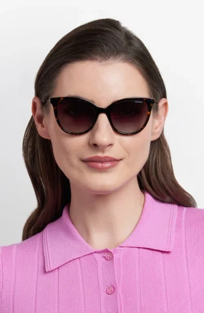 Polaroid 52mm Polarized Cat Eye Sunglasses In Multi