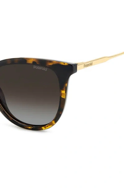 Polaroid 52mm Polarized Cat Eye Sunglasses In Multi