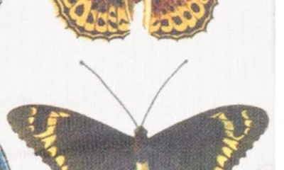 Stance Flutterby Crew Socks