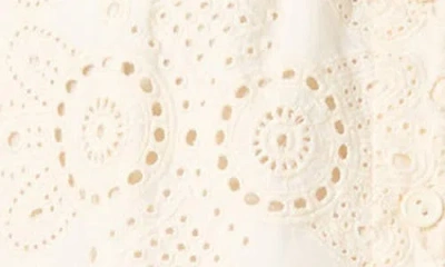 Blanknyc Embroidered Eyelet Cropped Cotton Top