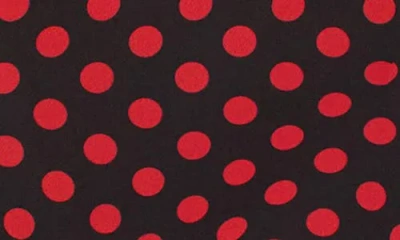 Vici Collection Amala Dot Ruffle Maxi Dress