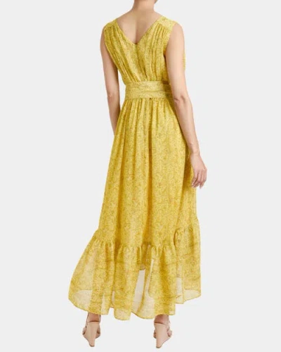 Santorelli Lanita Sleeveless Fit And Flare Hi Lo Dress In Printed Georgette
