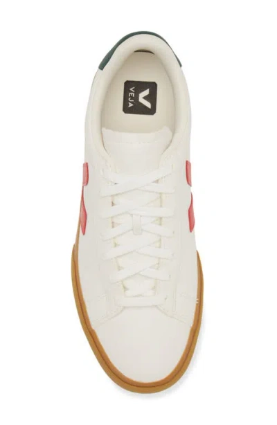Veja Campo White Low Top Sneakers With Logo Detail In Leather Man In White