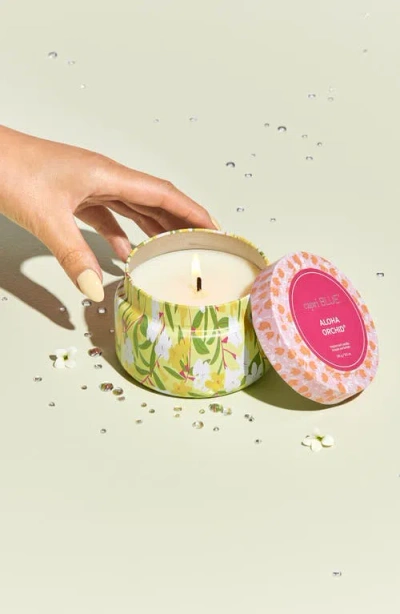 Capri Blue Aloha Orchid Pattern Play Travel Tin Candle