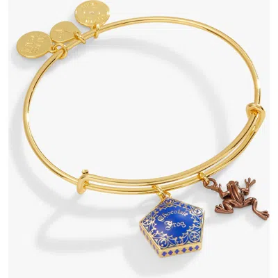 Alex And Ani Harry Potter Chocolate Frog Two-charm Bangle Bracelet