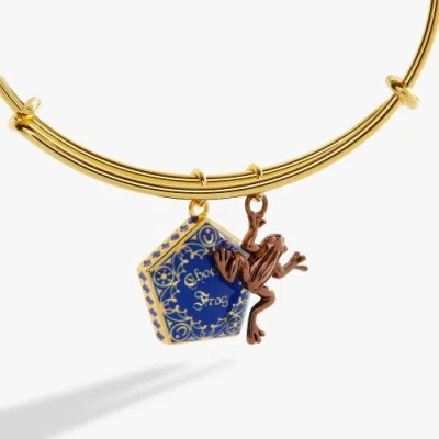 Alex And Ani Harry Potter Chocolate Frog Two-charm Bangle Bracelet