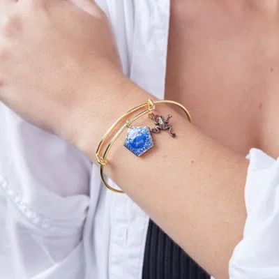 Alex And Ani Harry Potter Chocolate Frog Two-charm Bangle Bracelet