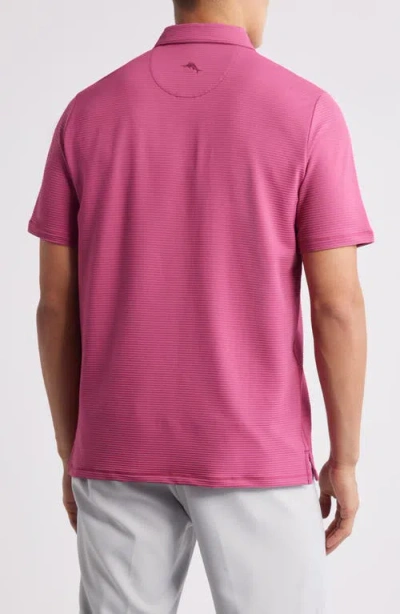 Tommy Bahama Costa Wave Polo