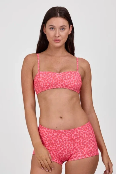 JOLYN JOLYN ELLEN BIKINI TOP 