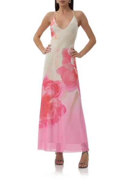 Afrm Romy Placed Floral Mesh Maxi Dress