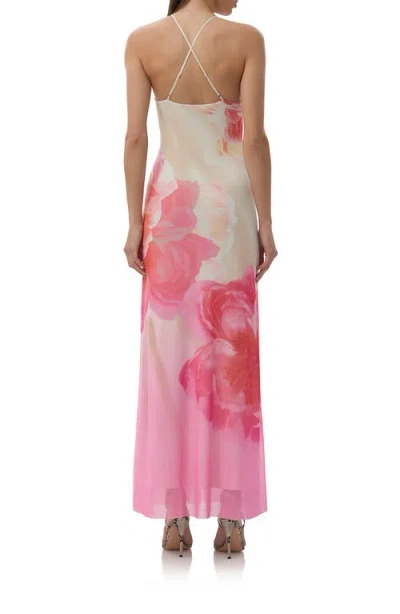 Afrm Romy Placed Floral Mesh Maxi Dress