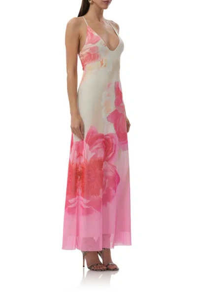 Afrm Romy Placed Floral Mesh Maxi Dress