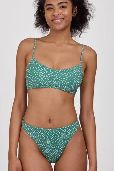 Jolyn Hikari Bikini Top