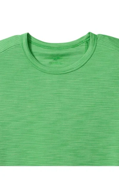Tommy Bahama Paradise Isles Islandzone® Performance T-shirt