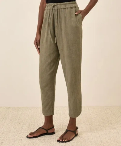 Pact Organic Cotton Coastal Double Gauze Tapered Pull-on Pant