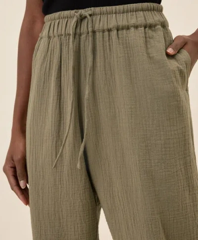 Pact Organic Cotton Coastal Double Gauze Tapered Pull-on Pant