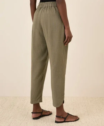 Pact Organic Cotton Coastal Double Gauze Tapered Pull-on Pant