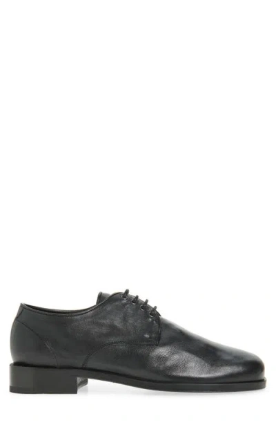 Lemaire Anatomic Derby