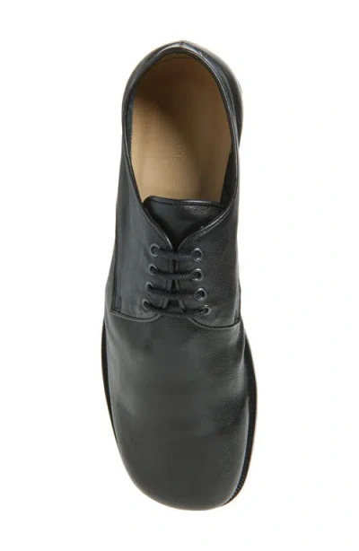 Lemaire Anatomic Derby