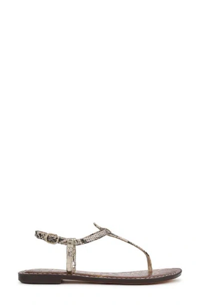 Sam Edelman Gigi Thong Sandal Roccia/jute Python