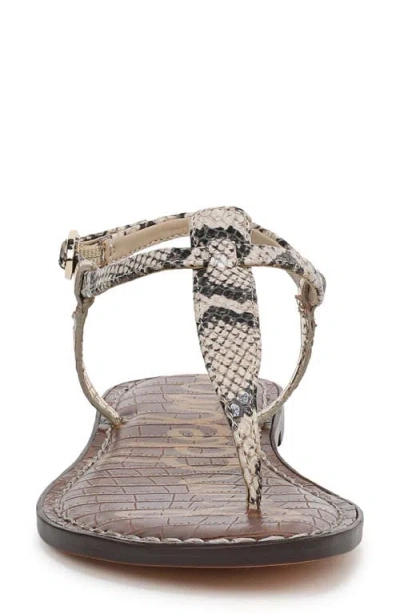 Sam Edelman Gigi Thong Sandal Roccia/jute Python