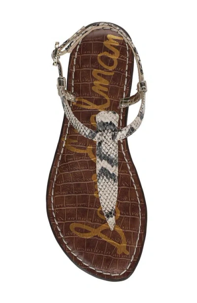 Sam Edelman Gigi Thong Sandal Roccia/jute Python