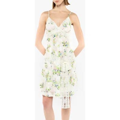 Anna Sui Rosies Posies Chiffon Slip Dress