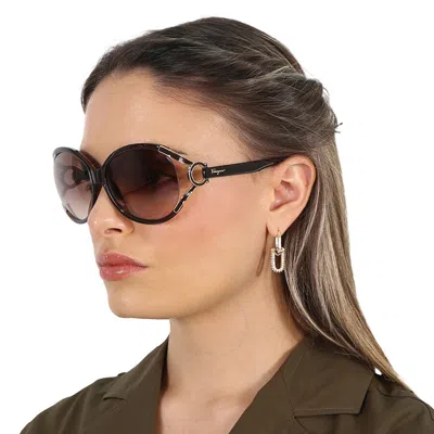 Ferragamo Salvatore  Brown Gradient Round Ladies Sunglasses Sf600s 220 61