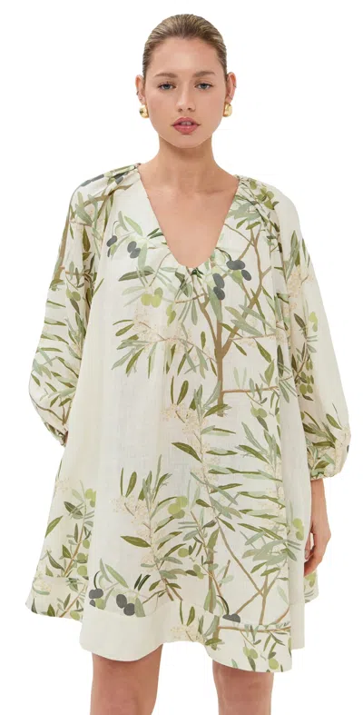 Bernadette V-neck Floral-print Mini Dress In Neutral