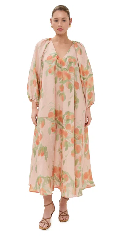 Bernadette Georgette Printed Linen Midi Dress In Pink