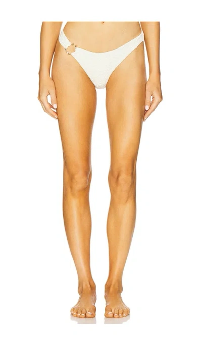 Devon Windsor Camden Bikini Bottom