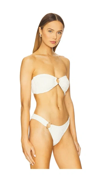 Devon Windsor Calypso Bikini Top