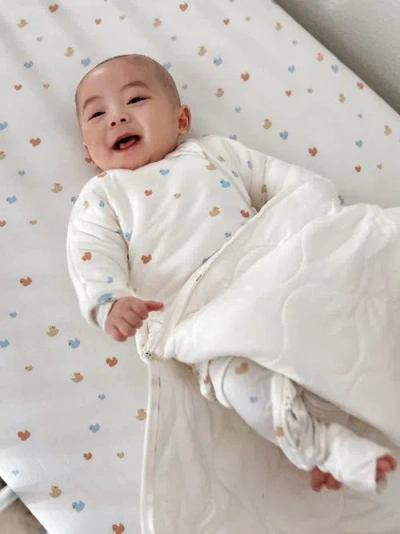 Gunamuna Long Sleeve Transitional Swaddle Sleep Bag, 1.0 Tog