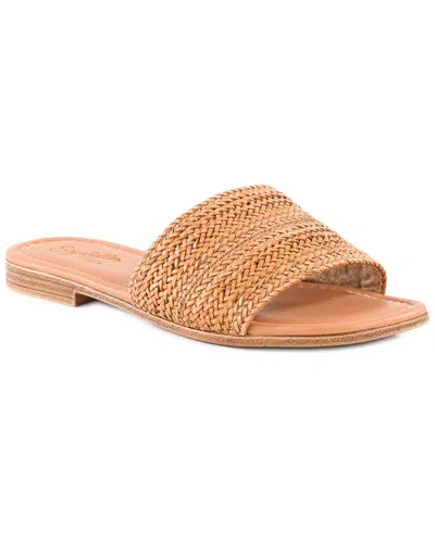 Seychelles Palms Perfection Slide Sandal In Brown