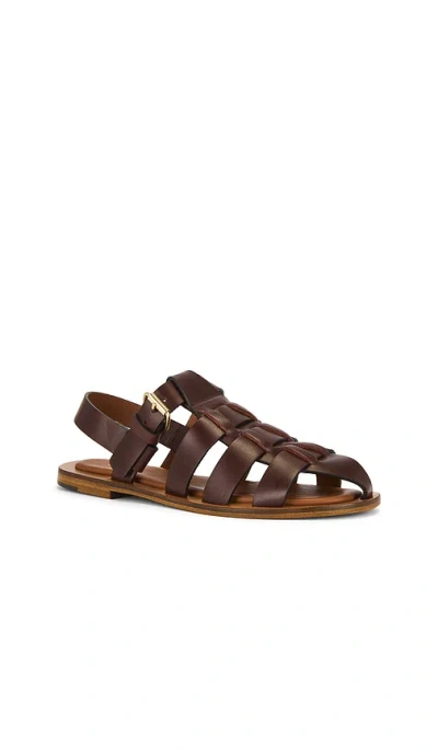 Mansur Gavriel Fisherman Sandal