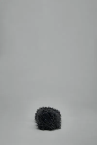 Balenciaga Leopold Ballerina