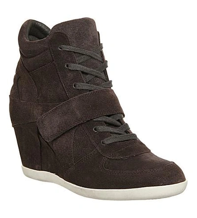 Shop Ash Bowie Wedge Suede Ankle Boots In Bistro Suede