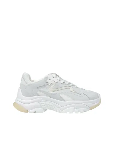 Ash Sneakers In White