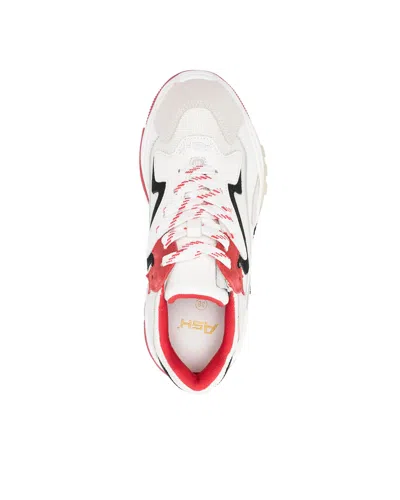 Ash Addict Sneakers